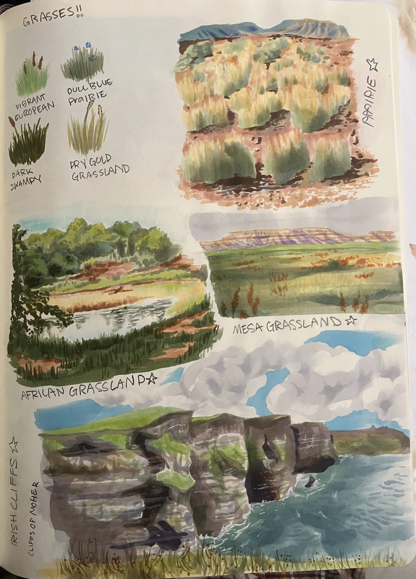 a full page of landscape studies done in marker with four scenes of different biomes and a grass type study