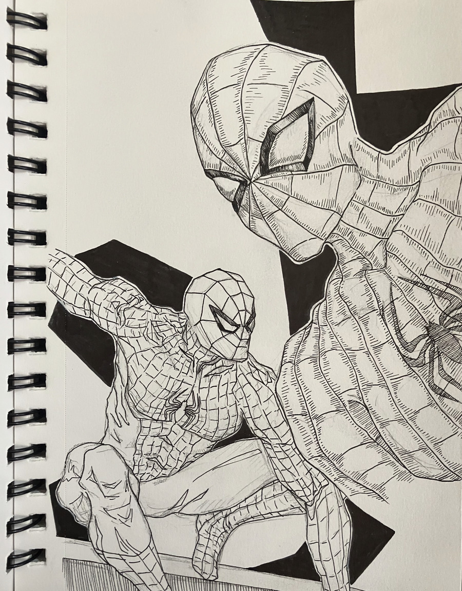 an ink drawing of Spiderman from two different angles, one dynamic, squatting pose and one bust